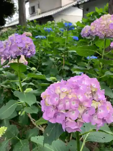 仙波東照宮の自然