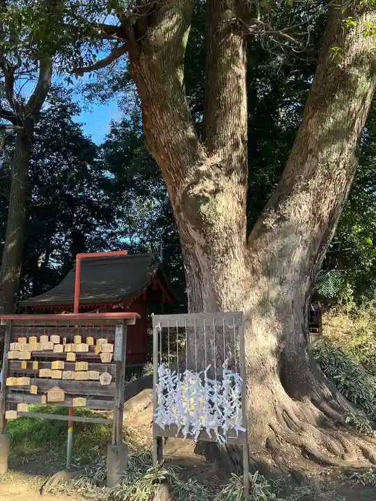 三芳野神社(埼玉県)