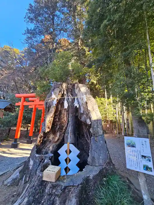常磐神社(茨城県)