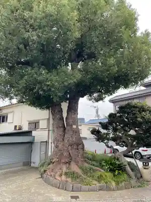 観音寺(東京都)