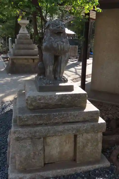 鳩森八幡神社の狛犬
