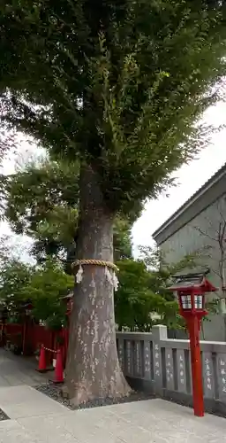 川越八幡宮(埼玉県)