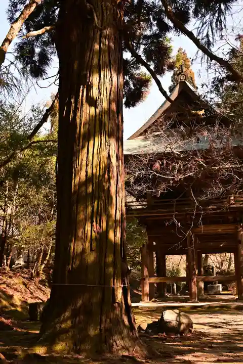 御調八幡宮(広島県)