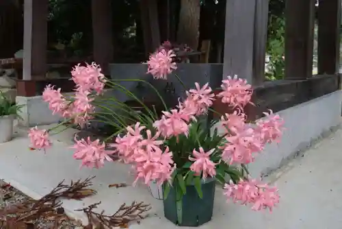 高司神社〜むすびの神の鎮まる社〜の手水舎