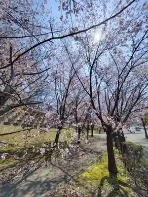 厚別神社(北海道)