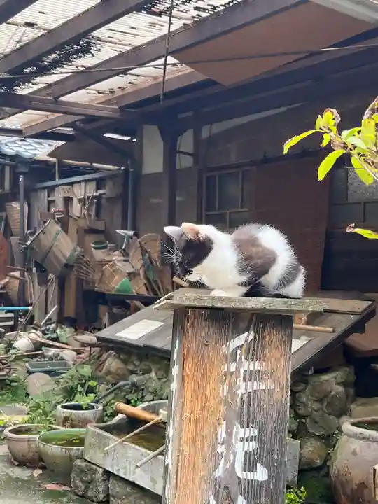 浄瑠璃寺(京都府)