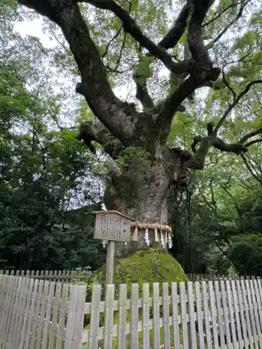 熱田神宮(愛知県)