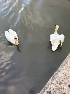 八大荒神社(島根県)