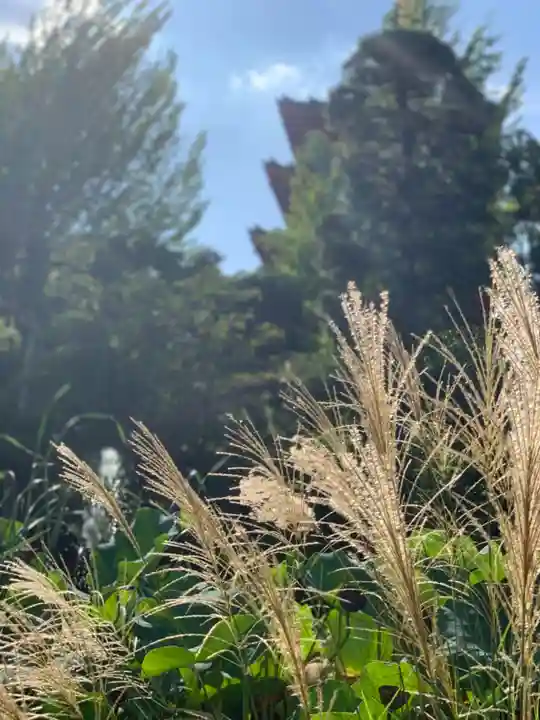 高幡不動尊 金剛寺の自然