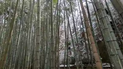 圓光寺(京都府)