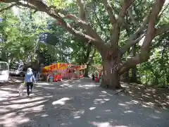 相馬神社のお祭り