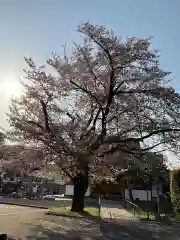 願生寺(埼玉県)