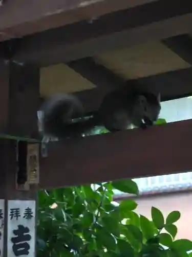 音無神社(静岡県)