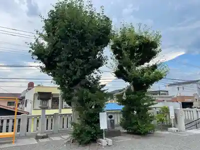 甲斐奈神社(山梨県)