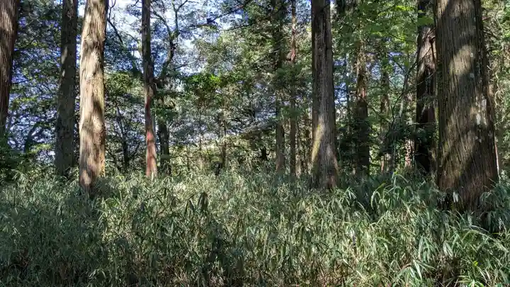 末廣神社の自然