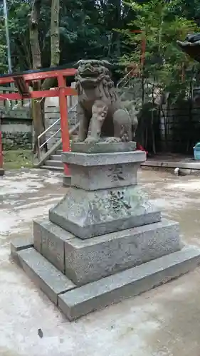 瑞丘八幡神社の狛犬