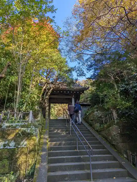 黄梅院(円覚寺塔頭)(神奈川県)
