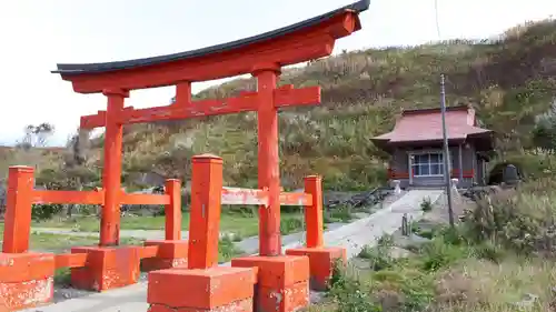 島古丹稲荷神社の鳥居