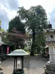 東輪寺(栃木県)