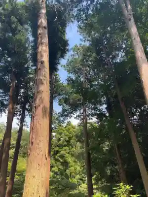 明月院の{uncategorized: "未分類", other: "その他", undefined: "問題あり", building: "その他建物", grave: "お墓", sacred_gate: "鳥居", guardian: "狛犬", statue: "像", buddha: "仏像", history: "歴史", nature: "自然", garden: "庭園", animal: "動物", pagoda: "塔", temizu: "手水舎", mountain_gate: "山門・神門", sanctuary: "本殿・本堂", subordinate: "末社・摂社", art: "芸術", scenery: "景色", jizo: "地蔵", ema: "絵馬", goshuin: "御朱印", omikuji: "おみくじ", items: "授与品その他", amulet: "お守り", goshuincho: "御朱印帳", eats: "食事", festival: "お祭り", votive_dance: "神楽", shichigosan: "七五三参", wedding: "結婚式", experience: "体験その他", initially: "初詣", around: "周辺", anti_infection: "感染症対策"}