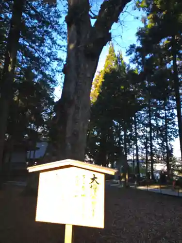 諏訪大社のその他建物