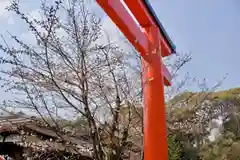 賀茂御祖神社（下鴨神社）の自然