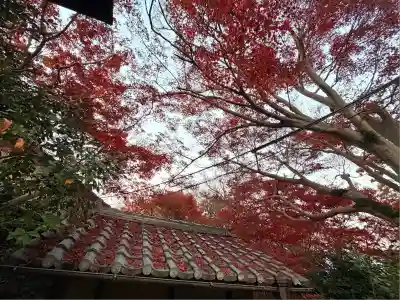 神應寺(京都府)