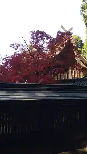 胡宮神社（敏満寺史跡）(滋賀県)