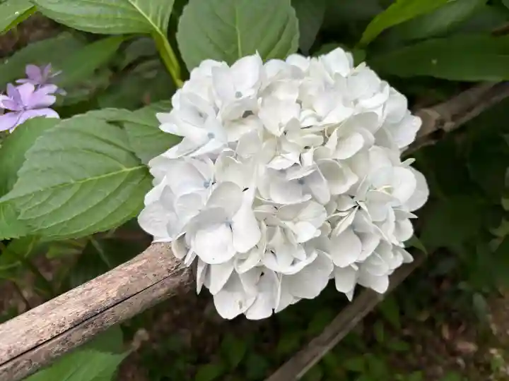 頼光寺(兵庫県)