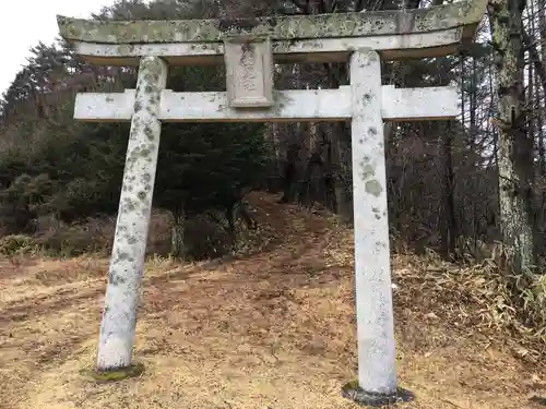 高尾社の鳥居