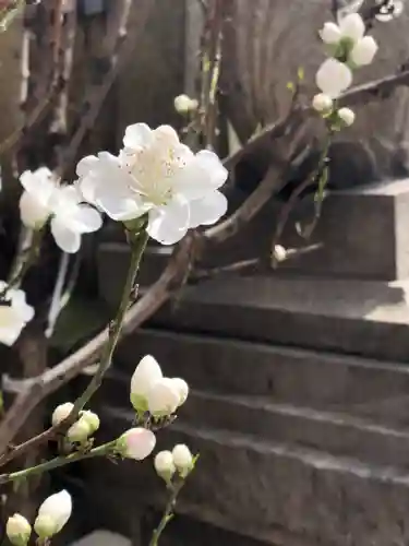 小野照崎神社の自然