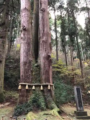 御岩神社の自然