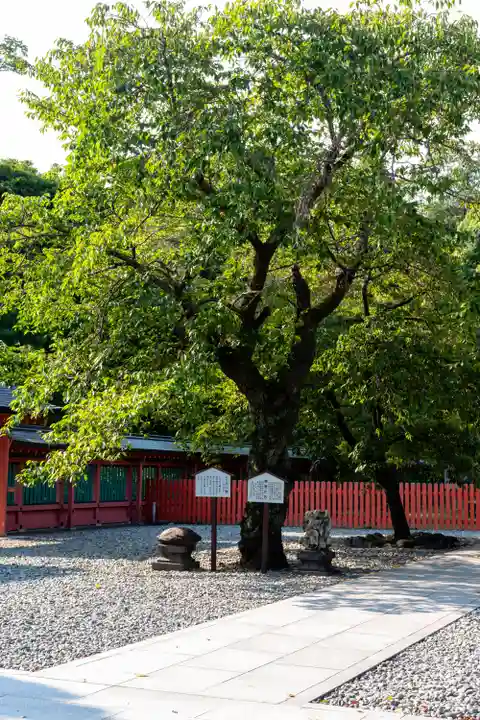 富士山本宮浅間大社(静岡県)
