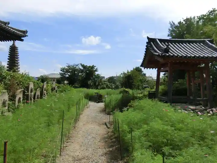 般若寺 ❁コスモス寺❁のその他建物