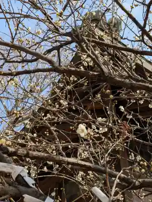 白幡八幡神社(神奈川県)