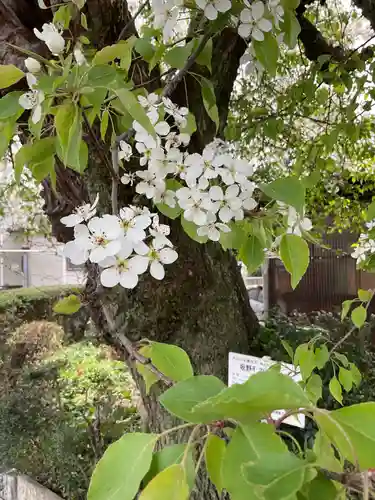 比良賀観音菩薩(愛知県)