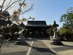 京都乃木神社(京都府)