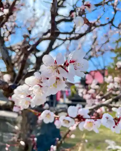 伊達神社の自然