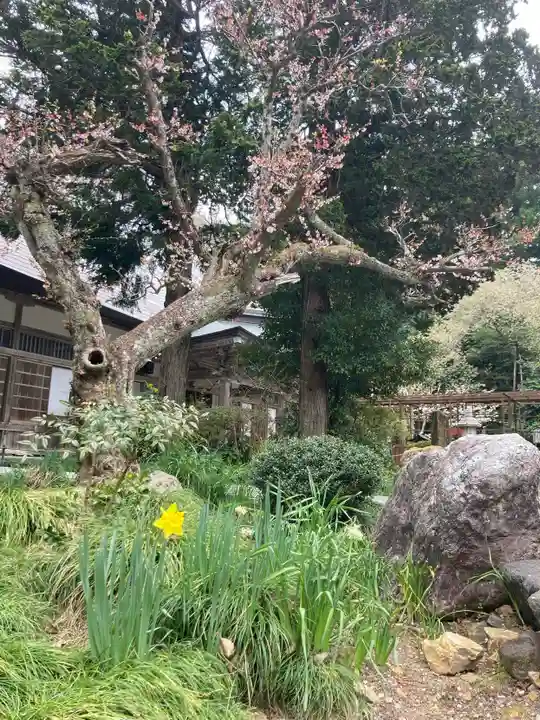 国上寺(新潟県)