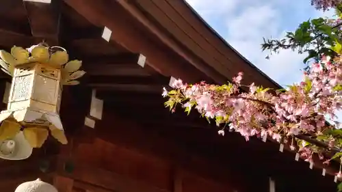櫛田神社の自然