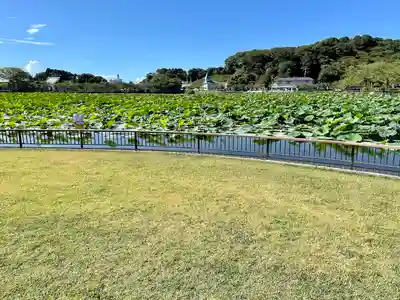 蓮華寺池弁天(静岡県)
