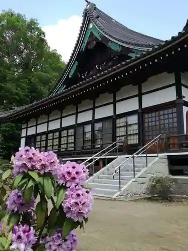 浄国寺の本殿・本堂