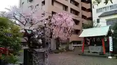 秋葉神社(東京都)