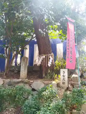 安居神社(大阪府)