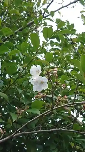 北岡神社の自然