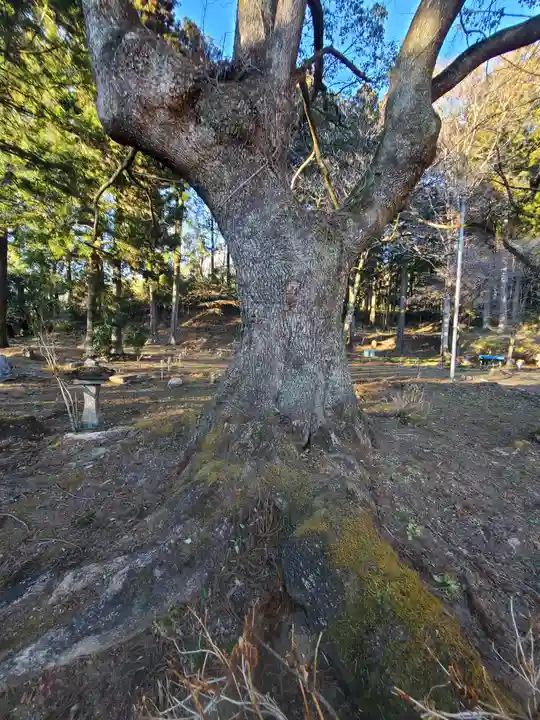 根本山神社(里宮)(栃木県)