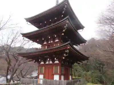 岡寺(龍蓋寺)(奈良県)