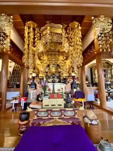 来迎寺(井戸来迎寺・紫雲山来迎寺)(京都府)