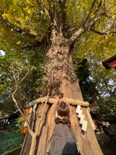 秩父神社の自然