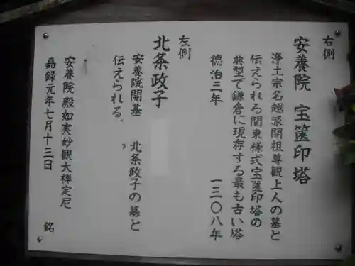 安養院　(田代寺）のその他建物